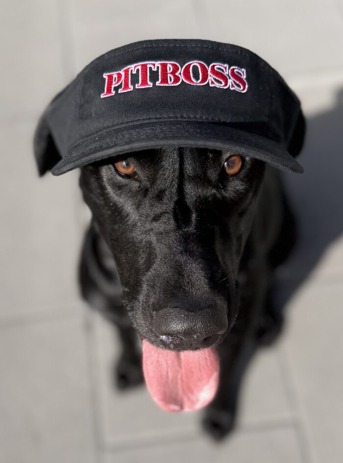Visor - Black "Pitboss".