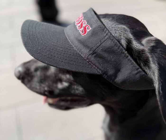 Visor - Black "Pitboss". - Image 3
